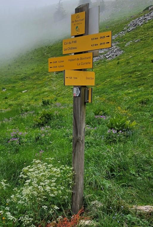 Col de bovinant