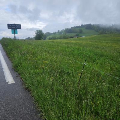 Col des ayes 1